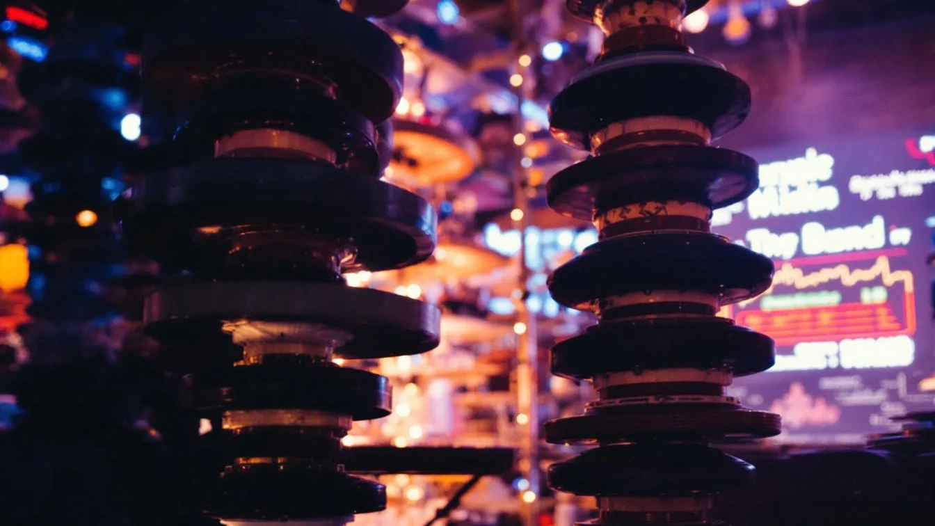 Warum deine Gartenpflanzen bei Hitze und Trockenheit überleben